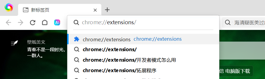 安装Cookie登录浏览器插件 - 操作截图 16(锋锋外贸助手图文教程)