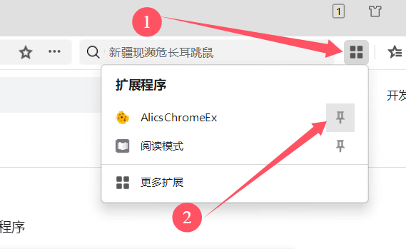 安装Cookie登录浏览器插件 - 操作截图 21(锋锋外贸助手图文教程)
